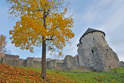 Cesis